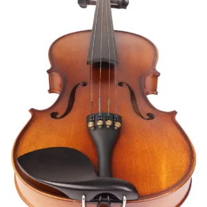 VIOLIN PROFESIONAL AILLEN VN100-S