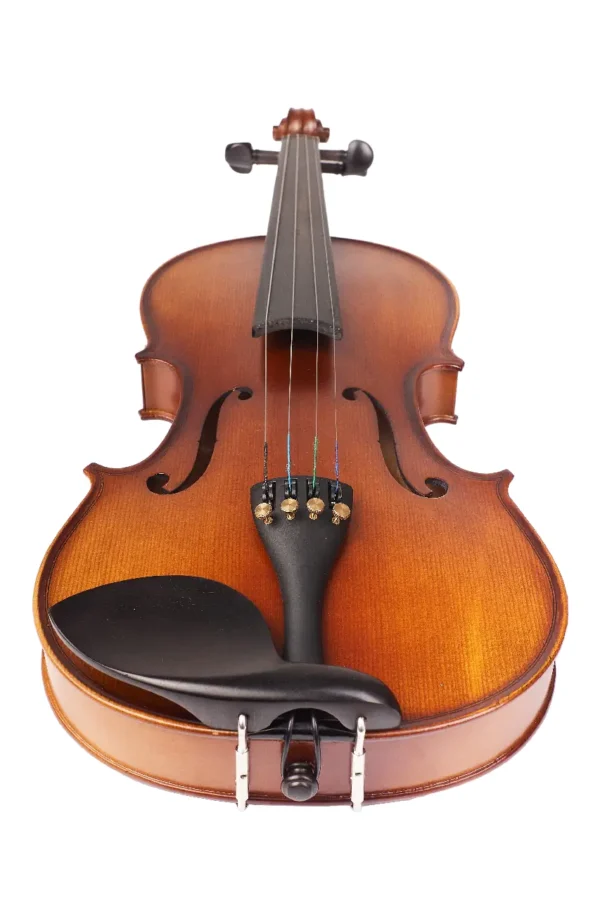 VIOLIN PROFESIONAL AILLEN VN100-S